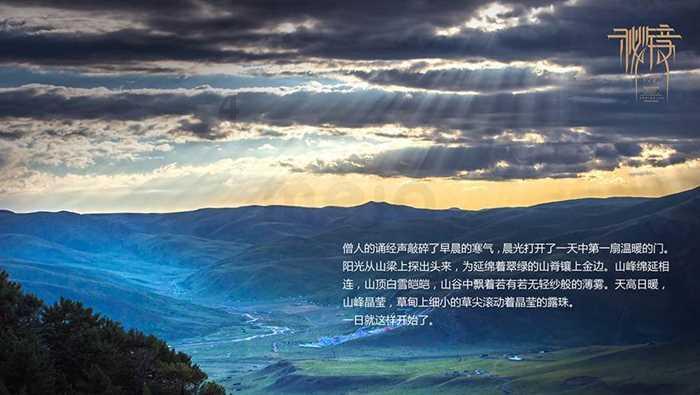 有趣的动物拼图